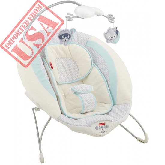 Fisher-Price Moonlight Meadow Deluxe Bouncer