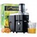 Buy Nutri-Stahl Juicer Machine Fruit and Vegetable Extractor Online in Pakistan