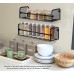 Greenco Wall Mount Single Tier Mesh Spice Rack, Black, Set 2