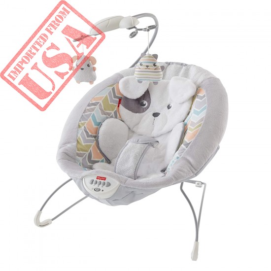 Fisher-Price Deluxe Bouncer: Sweet Dreams Snugapuppy