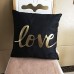 Monkeysell Original New Love Bronzing Flannelette Throw Pillow Cover Online in Pakistan