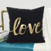 Monkeysell Original New Love Bronzing Flannelette Throw Pillow Cover Online in Pakistan