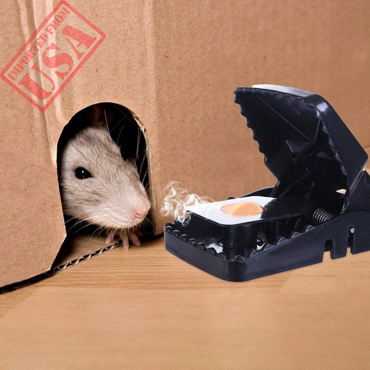 where to buy mice traps