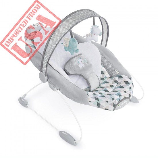 Ingenuity SmartBounce Automatic Bouncer, Chadwick (11502)