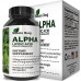 Buy Pure Alpha Lipoic Acid Supplement with Acetyl L-Carnitine Online in Pakistan