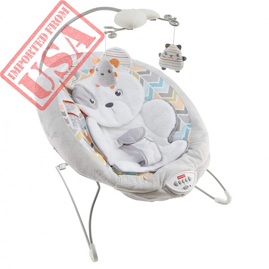 Fisher-Price Sweet Snugapuppy Dreams Deluxe Bouncer