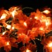 Buy online High Quality Maple Leaves String Lights for Special Decoration in Pakistan 