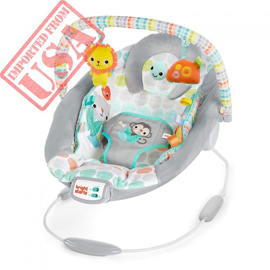 Bright Starts Whimsical Wild Cradling Bouncer Seat with Soothing Vibration & Melodies